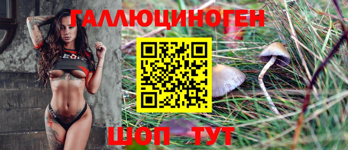 Псилоцибиновые грибы MAGIC MUSHROOMS  купить наркотики сайты  Вход с VPN  Пенза  Псилоцибиновые грибы Cubensis 